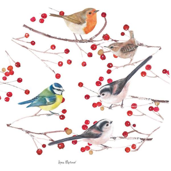 Luxury Charity Christmas Cards - Birds & Branches - Pack of 10